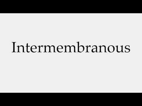 How to Pronounce Intermembranous