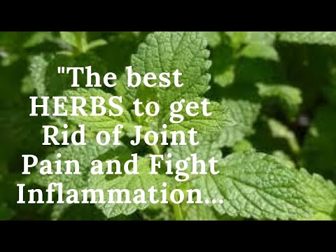 "The Best Herb To Get Rid of Joint Pain and Fight Inflammation..."