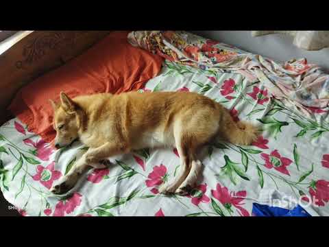 mottu 31/7/2024 Wednesday