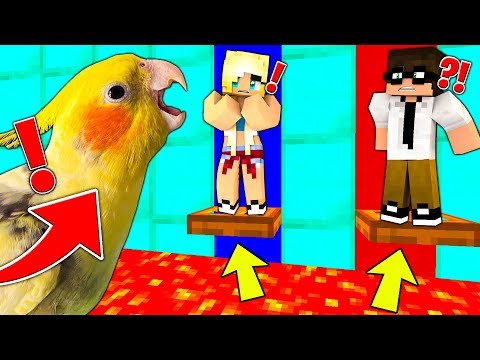 PAPPAGALLO DECIDE CHI SALVARE DEI MIEI AMICI su MINECRAFT ITA!!