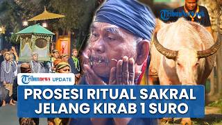 Prosesi Sakral Jelang Kirab Malam 1 Suro Keraton Kasunanan, Kebo Bule Jalani Ritual Ruwat & Bancakan