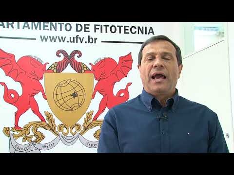 Derly José Henriques da Silva