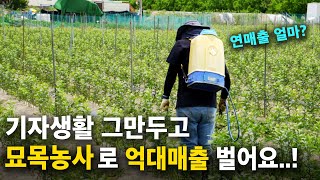 기자생활 그만두고, 2만평 묘목농사 시작한 이유ㅣ묘목농사가 큰 돈이 되는 이유 [묘목농사, 청년농부] 영농한…