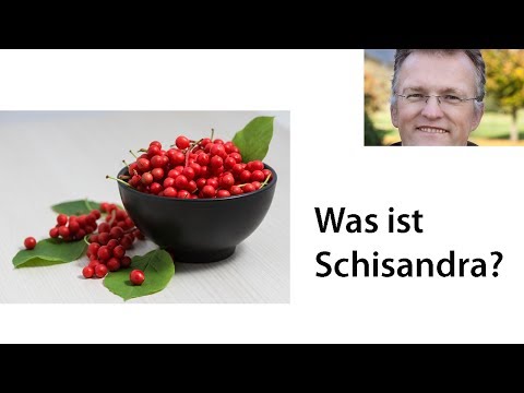 Wahr. dass die Rinde der Espe senkt den Blutzucker Kostenlos Medizin für Diabetes bei Kindern
