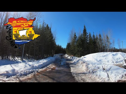 Wetland Trail at Mapleton Park, Moncton NB | Time-Lapse | 4K