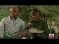 CNN S Piers Morgan Talks To Jack Hanna About Alligator Attack