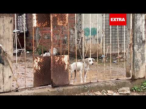 In Durán, two brothers were forced to kneel before being killed.