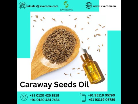 Caraway seeds oil