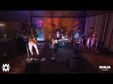 Live at Weird Music Studios - Barefuzz - Quarantine Concert Series