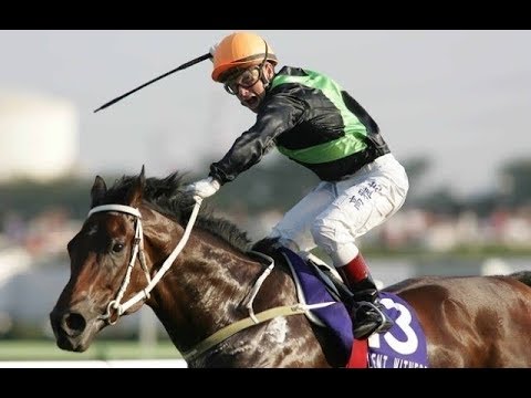 2005 Japan Sprinters Stakes G1 - Silent Witness (精英大師) - F.Coetzee