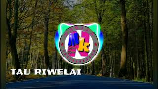 Download lagu Bugis elekton tau riwelai mp3