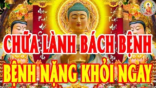 Chỉ 15 Phút Nghe Tụng Kinh Cầu An Sám Hối Quan Âm Cứu Khổ Cứu Nạn Bệnh Tật Tiêu Tan Tài Lộc Tự Đến