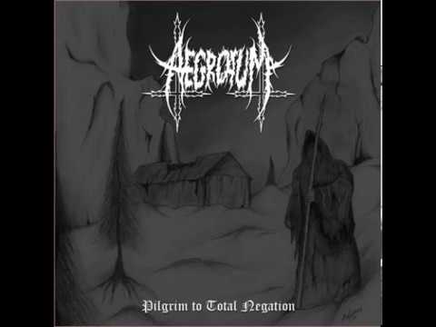 Aegrotum - Pilgrim To Total Negation [Full Album] 2014