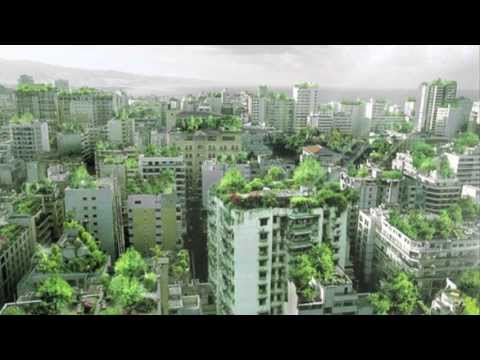 The Evolution of Ecological Consciousness