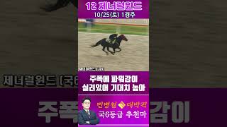 [서울 경마] 민병철 대박픽 2025년 10월 25일 토요 1R 추천마2 #경마 #하이라이트 #한국마사회 #고배당 #검빛 #코리아