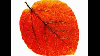 Pete Jolly - Seasons