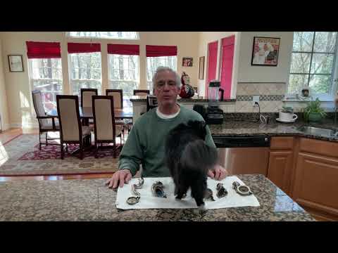 593.  Different types of lateral adapters, aka 78 adapters, for Edison Diamond Disc phonographs