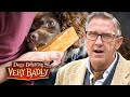 Dogs Who Destroy Their Owners Homes And Their Sanity