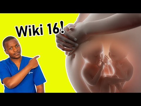 Dalili 13 ZA Mimba Changa Ya Mapacha Ya Miezi 4 AU Wiki 16 Kwa Mjamzito| Mimba Ya Mapacha Ya Wiki 16