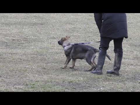 Hannah Erpemos - začátky obran 14 týdnů