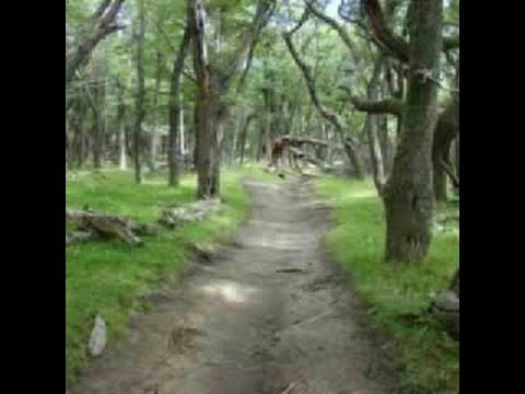 (Marga Z On Vocals) Shou Ken