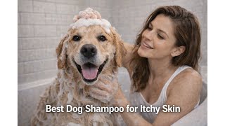🐕 Bio-Groom Oatmeal Dog Shampoo Review: Does It Soothe Your Pet’s Skin? 🛁