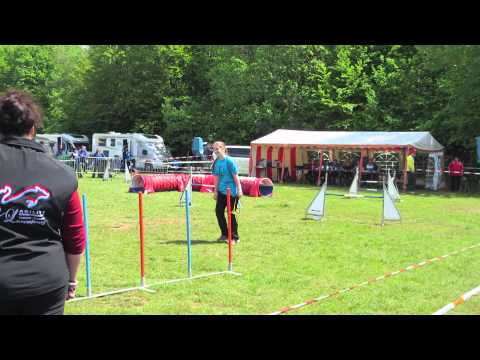 Zazou und Ich Jumpinglauf am 8.5.2015