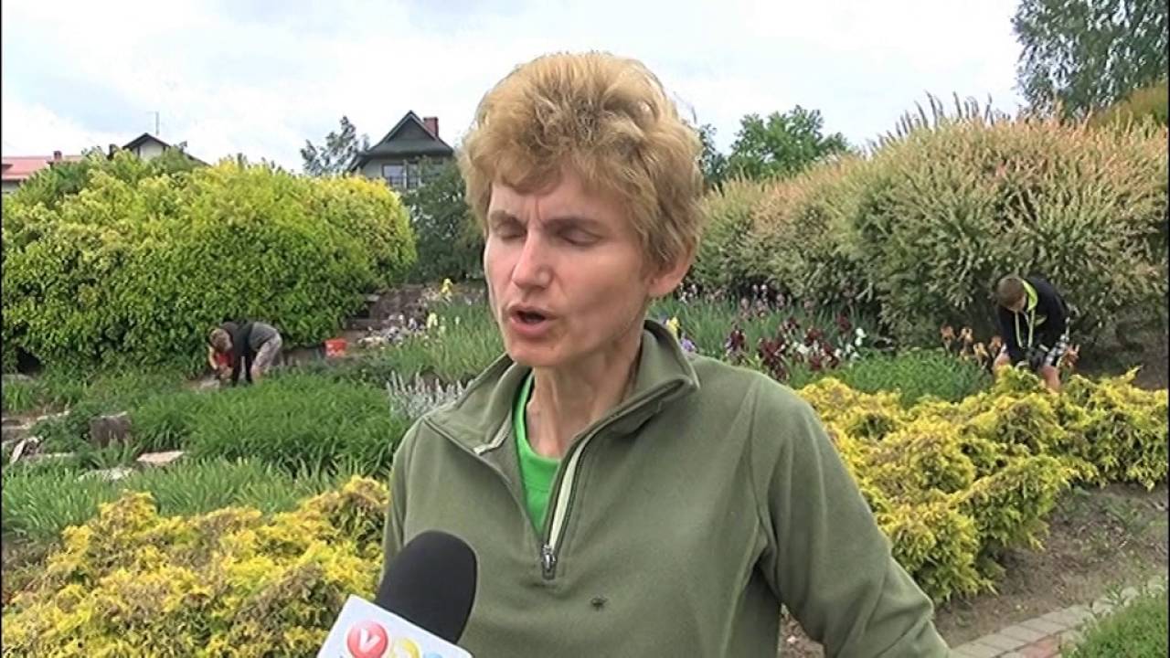 Siguldas novada skolēnu vasaras nodarbinātības projekts