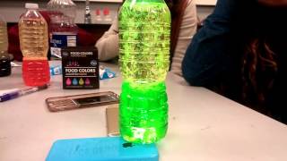 Lava Lamp -Chemistry Experiment