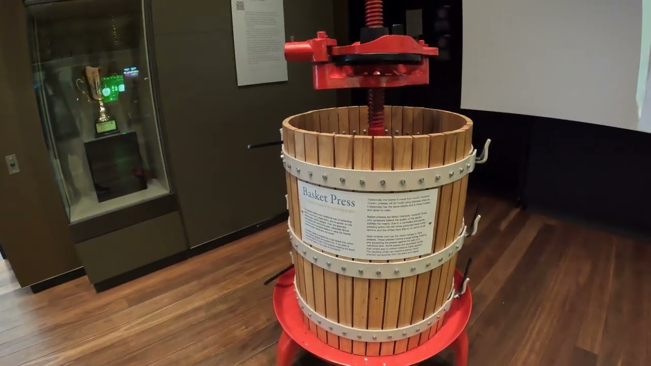 Embark on a walking tour at National Wine Centre of Australia.