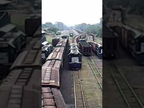 Pátio ferroviário Rio Negro Paraná PR-Brasil (2026) #trensbrasil #trains #ferroviabrasileira #rumo