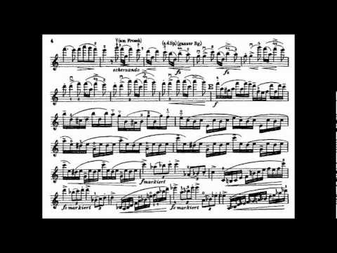 Dvorak, A.L. mvt1 violin concerto
