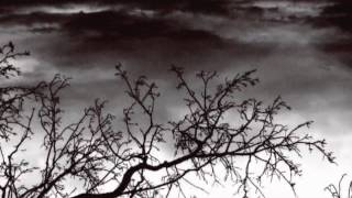 Autumnblaze - The Forge