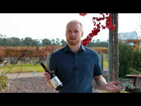 Winery Walkabout The House 2020