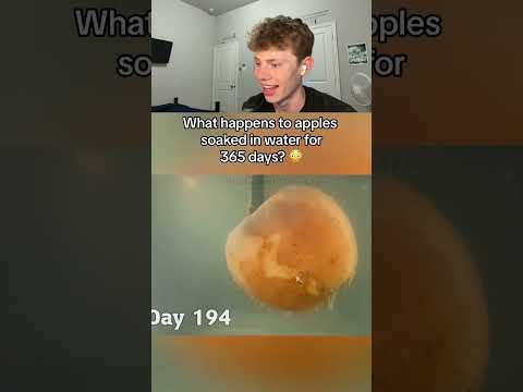 Things humans weren’t meant to see 🤯