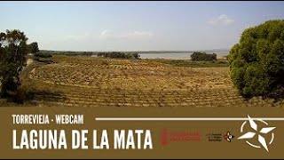Laguna de La Mata - Parque Natural Lagunas de La Mata y Torrevieja - Webcam de Torrevieja