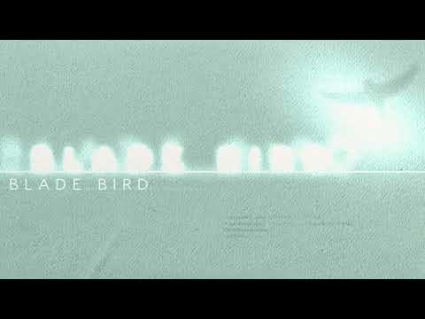 Video thumbnail for 000bladebird