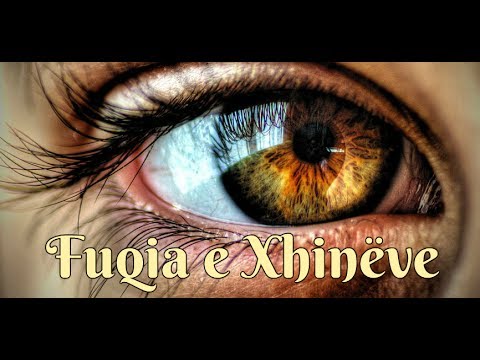 Fuqia e Xhinëve - Yasir Qadhi