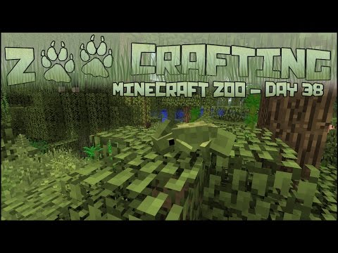 Swampy Chameleon Leaves! 🐘 Zoo Crafting: Season 2 - Episode #38