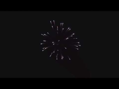 SCP22/125 - 125mm Silver Strobe Willow Shell