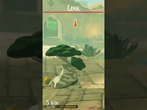 All Reaction To Link In Miss Vai Battle Pageant