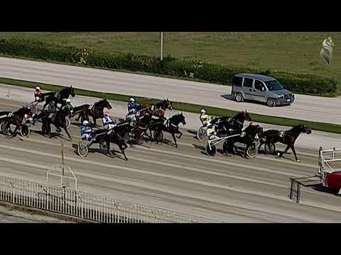 Aversa trotto 24 Febbraio 2021 - 1° Corsa