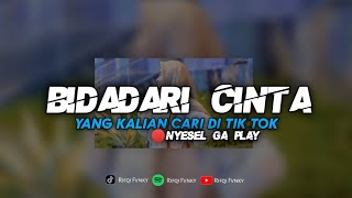 Download lagu DJ BIDADARI CINTA - YANG KALIAN CARI // PALING ENAK mp3 Download lagu DJ BIDADARI CINTA - YANG KALIAN CARI // PALING ENAK mp3