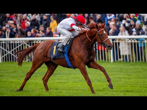 Berlin-Hoppegarten: Silbernes Pferd 2023 Sieger: Lordano