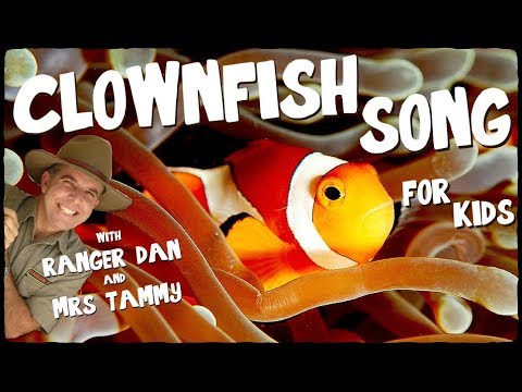CLOWNFISH SONG FOR KIDS | Under the Sea Songs | Animal Songs | Kids Songs | Creation Connection