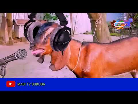 YOUNG LUNYA MBUZI 🐐