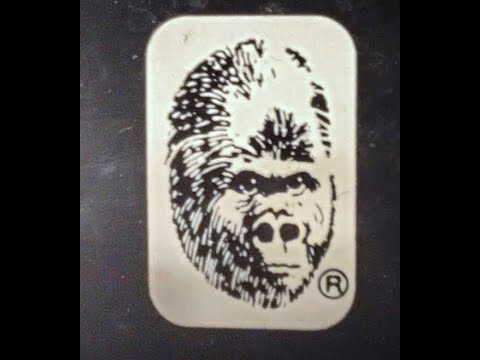 Gorilla Amp GG-25 Review Part 1