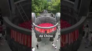 Você já tinha visto isso ? #shorts