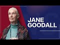 Interview With Animal Rights Activist Jane Goodall