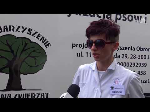 Sterylkobus przyjechał do Czermna w gminie Fałków